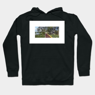 the weltand city ecopop veracruz urban architectural intervention art collage Hoodie